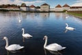 The Nymphenburg Palace in Munich. Bavaria. Germany. Beautiful white Swans On Lake water- peaceful scene, romance, seasonal postcar Royalty Free Stock Photo