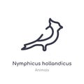 nymphicus hollandicus outline icon. isolated line vector illustration from animals collection. editable thin stroke nymphicus