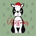 Christmas - handwritten text, with cute Boston Terrier on green backgound.