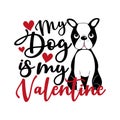 My dog is my Valentine- text with cute Boston Terrier.