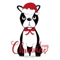 Merry Christmas- calligraphy with cute Boston terrier. Royalty Free Stock Photo