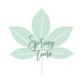 Spring time calligraphy text, with mintgreen leaf. Royalty Free Stock Photo
