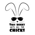 This bunny gets all the chicks - funny text wit cool rabbit