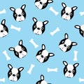 Boston Terrier seamless pattern, on blue background.