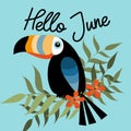 Hello June Calligraphy with Toucan bird, palm leaves and hibiscus flowers.