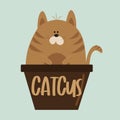 Catcus - funny cat in flowerpot.