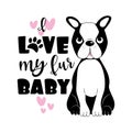 I Love my fur Baby - and Cute Boston Terrier.