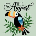 Hello August- Summer greeting text with toucan bird, on green background. Royalty Free Stock Photo