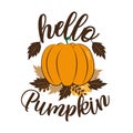 Hello Pumpkin - autumnal greeting with pumkin and leaves .