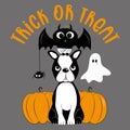 Trick or Treat Halloween set - hand drawn baby bat, spider, boston terrier, and pumpkins Royalty Free Stock Photo