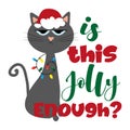 Is this jolly enough?- funny phrase for Christmas with cute cat in Santa`s cap