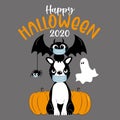 Happy Halloween 2020- cute boston terrier, bat, spider in facemask, and ghost and pumpkins. Funny greeting card for Halloween in c