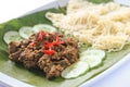 Nyonya roti jala with beef rendang Royalty Free Stock Photo