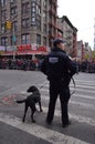 NYPD Counter-terrorism K9
