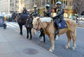 NYPD Mounted Police Unit on the streets of Manhattan.