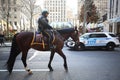 NYPD Mounted Unit police officer provides security at Rockefeller Plaza in Midtown Manhattan