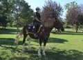 NYPD mounted unit police officer ready to protect public at Billie Jean King National Tennis Center during US Open 2016