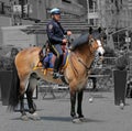 NYPD police officer on horse