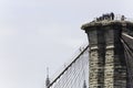 NYPD rescues man who climbed to top of Brooklyn Bridge