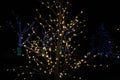 O Christmas Tree: Lights at John Dam Plaza brighten holidays Royalty Free Stock Photo