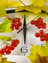 6 o`clock. Clock face, yellow leaves and viburnum