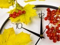 10 o`clock. Clock face, yellow leaves and viburnum