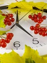 5 o`clock. Clock, yellow leaves and viburnum