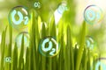 O2 molecules in bubbles near green grass on sunny day. Oxygen release concept Royalty Free Stock Photo
