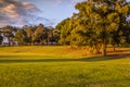 O'Neill Park Auburn Sydney