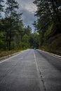 oad in the middle of a pine forest with large trees with clouds with a car in the middle Royalty Free Stock Photo