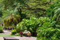 Oahu, Hawaii - May 02, 2015: Resting place in a public horticultural garden in Hawaii