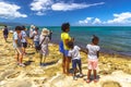 Hawaii Turtle Beach for families