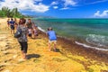 Green sea turtles in Laniakea Beach Royalty Free Stock Photo