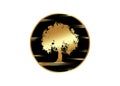 Vector silhouette tree icon isolated on white background. Gold Tree concept logo design Royalty Free Stock Photo