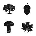 Oak, acorn, edible mushroom, maple leaf.Forest set collection icons in black style vector symbol stock illustration web.