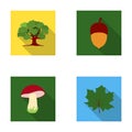 Oak, acorn, edible mushroom, maple leaf.Forest set collection icons in flat style vector symbol stock illustration web.