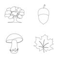 Oak, acorn, edible mushroom, maple leaf.Forest set collection icons in outline style vector symbol stock illustration