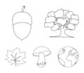 Oak, acorn, edible mushroom, maple leaf.Forest set collection icons in outline style vector symbol stock illustration