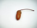 Oak acorn on white background. Autumn. Defoliation.