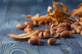 Oak acorns on wooden desk Royalty Free Stock Photo