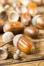 Oak acorns on wooden rustic background. Autumn concert. Selective focus