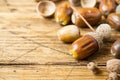 Oak acorns on wooden rustic background. Autumn concert. Selective focus