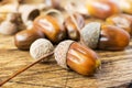 Oak acorns on wooden rustic background. Autumn concert. Selective focus