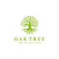 Oak Banyan tree logo design. Tree of life logo design inspiration Royalty Free Stock Photo