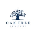 Oak Banyan tree logo design. Tree of life logo design inspiration Royalty Free Stock Photo