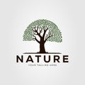 oak or banyan tree and nature logo vector illustration design... Royalty Free Stock Photo