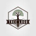 oak or banyan tree with root logo vector illustration design. nature symbol on hexagon badge Royalty Free Stock Photo