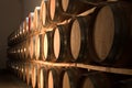 Oak barrels maturing red wine Royalty Free Stock Photo