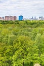 Oak and birch trees in summer forest and city Royalty Free Stock Photo