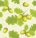 Oak branch with acorns. Decorative background